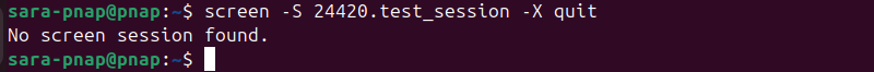 no screen session found terminal output