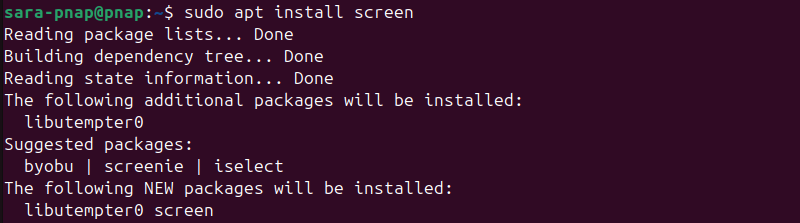 sudo apt install screen terminal output