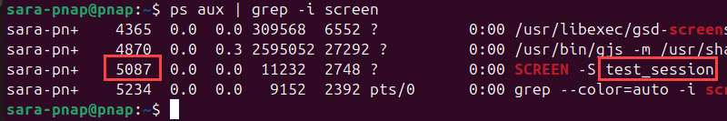 terminal output for ps aux | grep -i screen