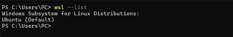 wsl --list terminal output