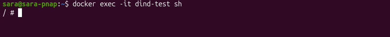 docker exec -it dind-test sh terminal output