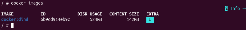 docker images inside DooD container terminal output