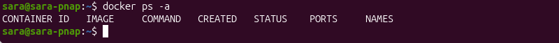 docker ps after DinD removal terminal output