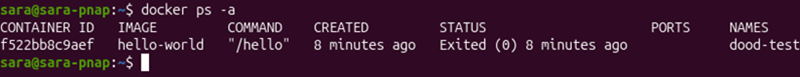 docker ps -a command terminal output