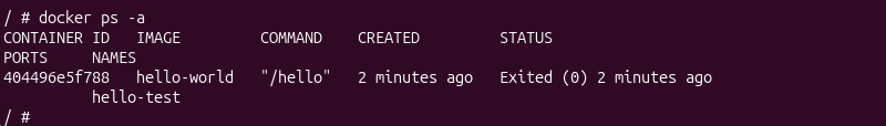 docker ps -a terminal output for child container
