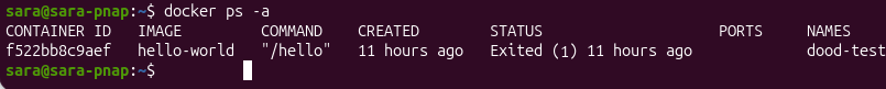 docker ps DinD container exited terminal output