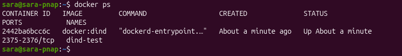 docker ps container running terminal output
