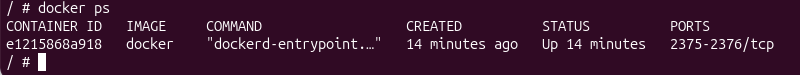 docker ps inside DooD container terminal output