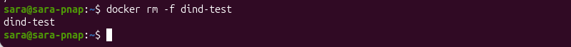 docker rm -f dind-test terminal output