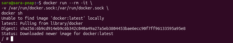 Docker run DooD shell terminal output
