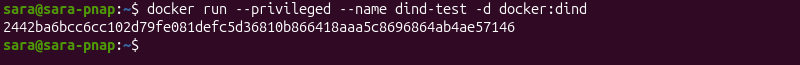docker run --privileged --name dind-test -d docker:dind terminal output
