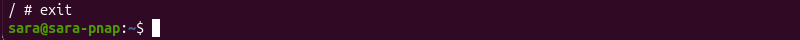 exit DinD terminal output