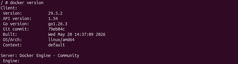 terminal output for docker version inside DinD