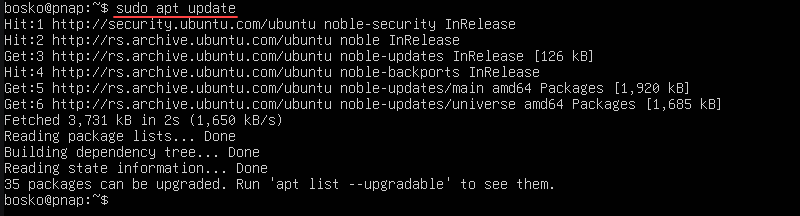 Updating the Ubuntu Server package index.