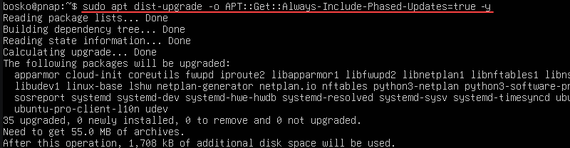 Upgrading installed packages on Ubuntu Server.