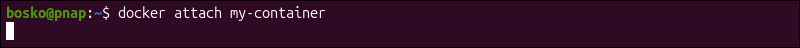 Attach to nginx container with Docker.