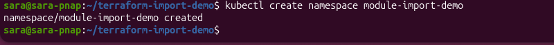 Creating a Kubernetes namespace before importing it into a Terraform module
