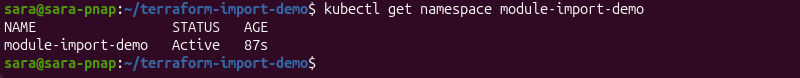 Verifying the Kubernetes namespace before importing it into a Terraform module