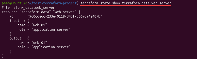 Displaying a resource from a Terraform state file.