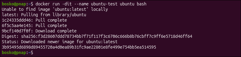 Starting a container in interactive mode.