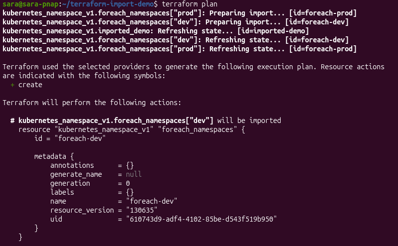 Terraform execution plan showing multiple namespace imports with for_each