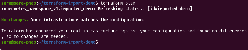 Terraform plan showing no changes after importing an existing Kubernetes namespace