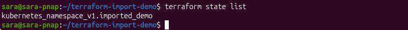 Terraform state list showing the imported Kubernetes namespace
