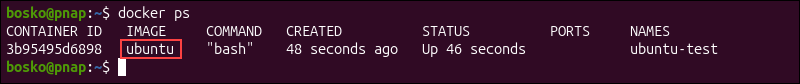 Checking running Docker containers.