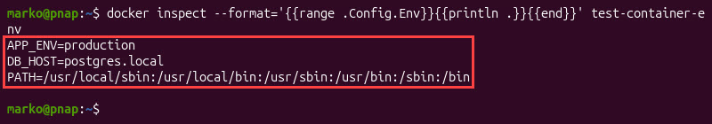 The output showing environment variables assigned to the active container.