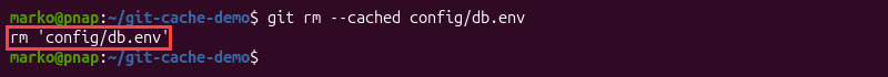 The output confirming the removal of a single file.