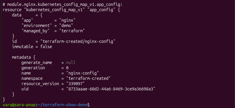 Terraform show terminal output displaying the attributes of a Kubernetes ConfigMap managed by a Terraform module.