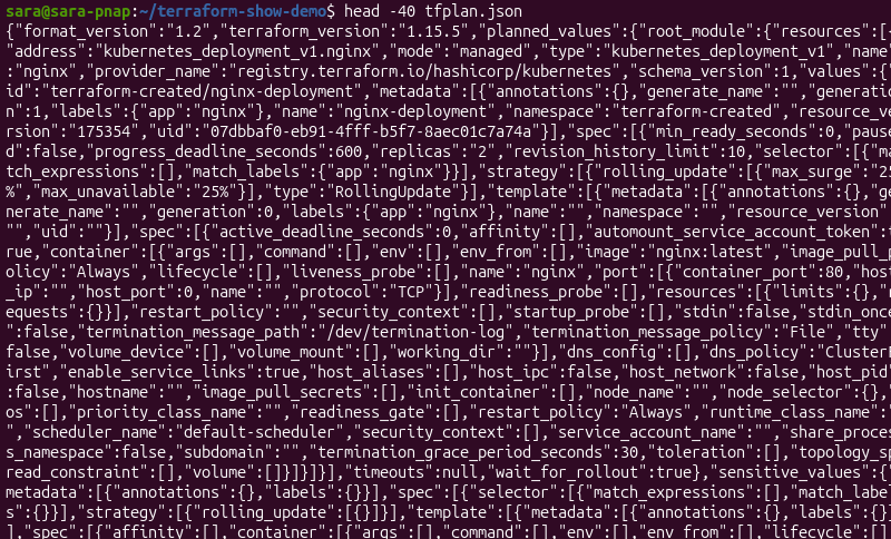 Terminal output showing the beginning of a Terraform execution plan exported as JSON.