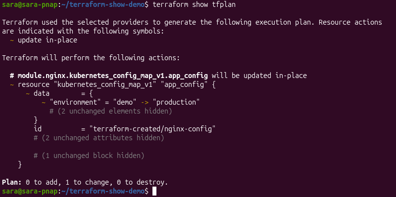 Terraform show terminal output displaying the contents of a saved Terraform execution plan.