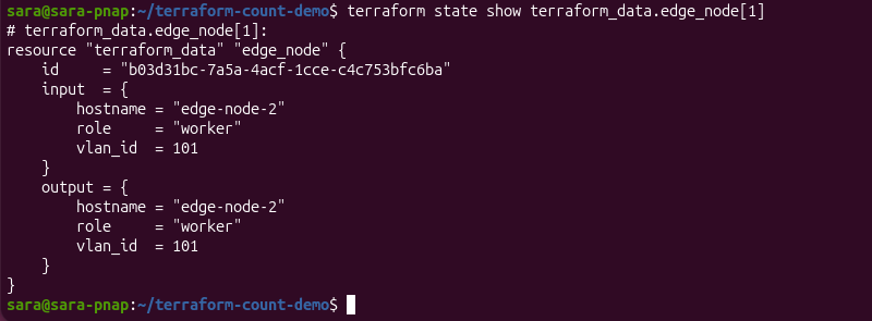 Terraform state showing the hostname, role, and VLAN ID assigned to an edge node.