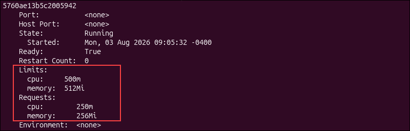 Inspecting resource requests and limits.