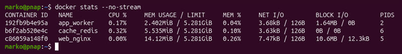 The docker stats command executed with the --no-stream option.