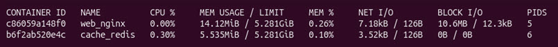 The docker stats command when executed with container names as arguments.
