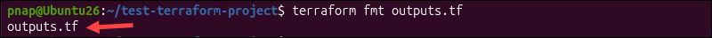 Targeting a specific file or directory with terraform fmt.