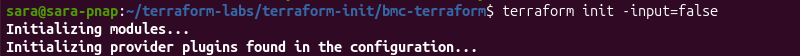 Terraform initializing modules during headless initialization
