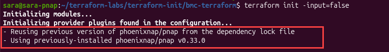 Terraform reusing the locked phoenixNAP provider during headless initialization