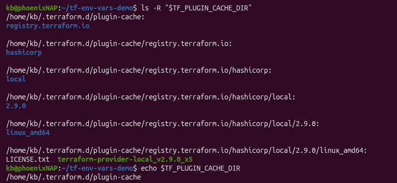 custom tf_plugin_cache_dir variable terminal output