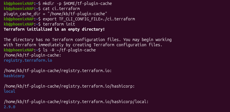 export tf_cli_config_file terminal output