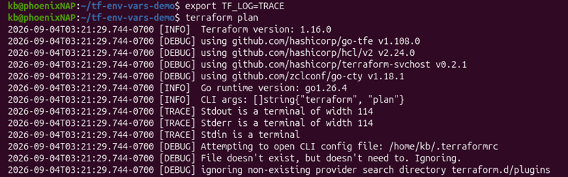 export tf_log trace terminal output