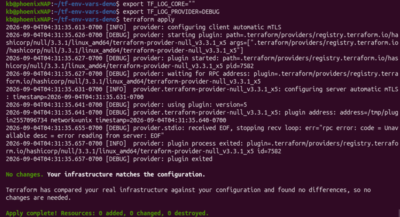 export tf_log_provider terminal output