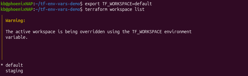 export tf_workspace terminal output