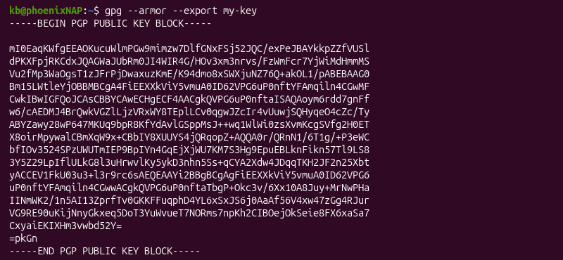 gpg --armor --export my-key terminal output
