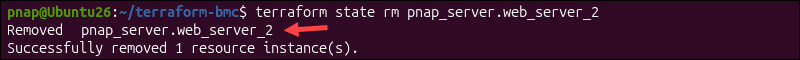 Remove bare metal cloud server from state using Terraform.