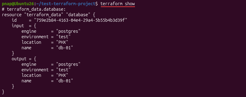 Using the terraform show command to review the state file.
