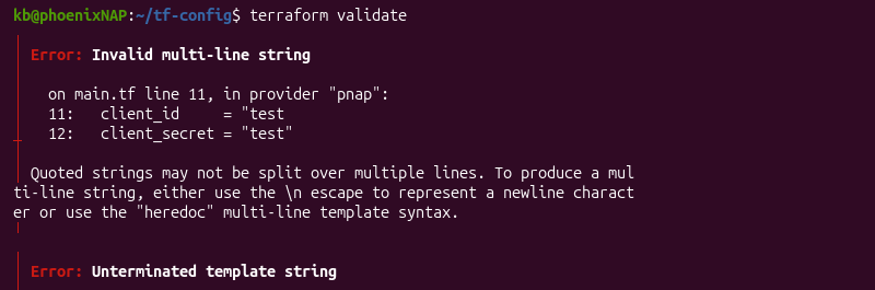 terraform validate flagged syntax error terminal output