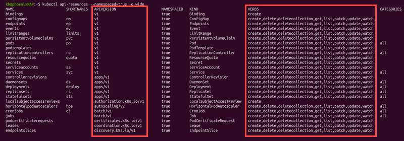 API resources, groups, and verbs terminal output